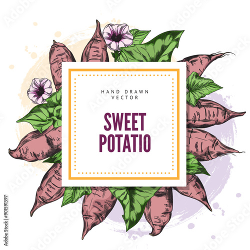 Sweet red potato vector frame for cards or labels.