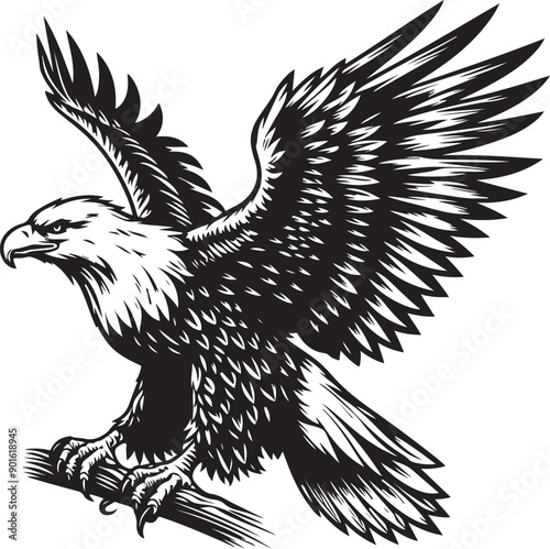 Eagle isolated on white vector illustration photo