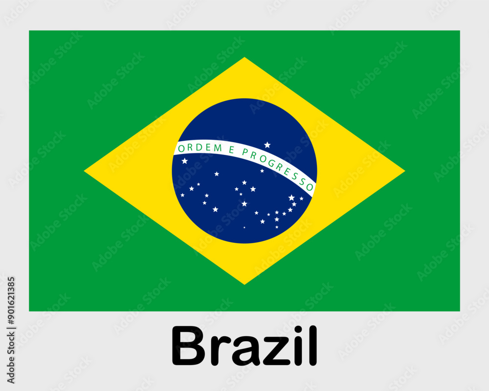 Fototapeta premium Brazil national flag. Banner, state symbol, flagpole.