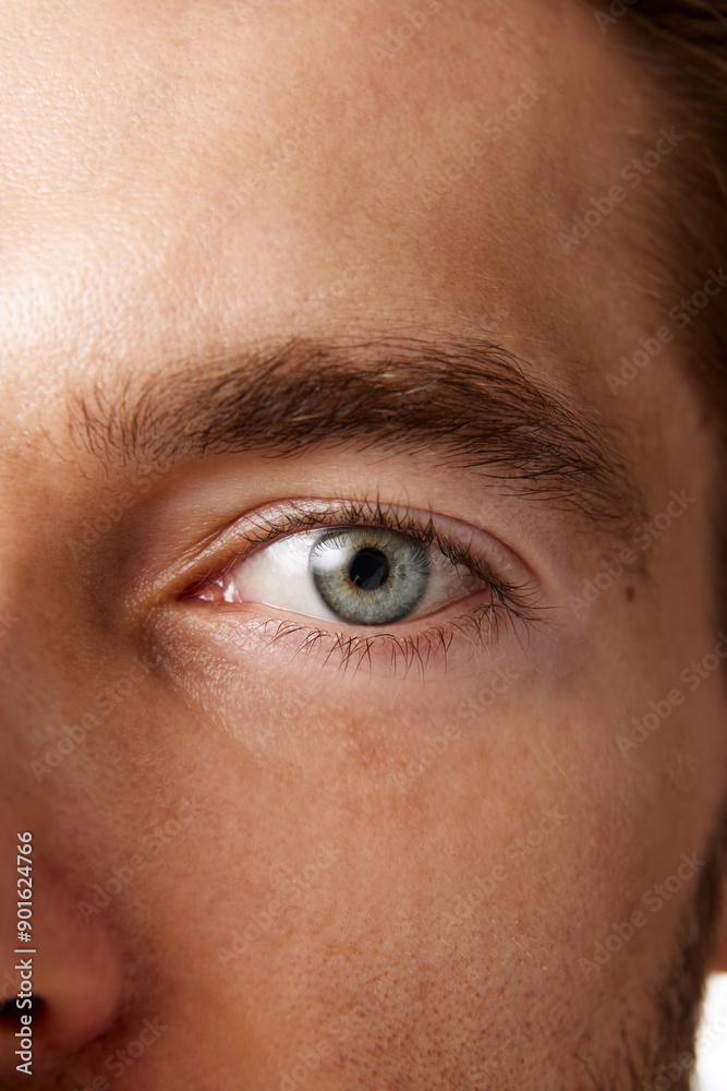 Fototapeta premium Close-up vertical image of man's eyes, emphasizing clear, bright blue eyes and well-groomed eyebrows, isolated on white background. Eye care. Concept of male beauty, skin care, cosmetology, cosmetics