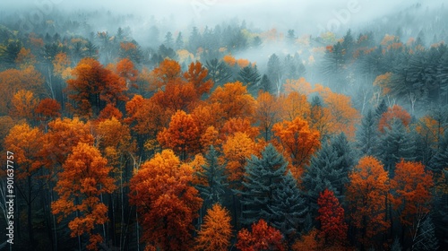Vibrant Autumn Foliage in a Misty Forest During Early Morning Hours. Generative AI © Рудой Максим