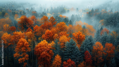 Vibrant Autumn Foliage in a Misty Forest During Early Morning Hours. Generative AI photo