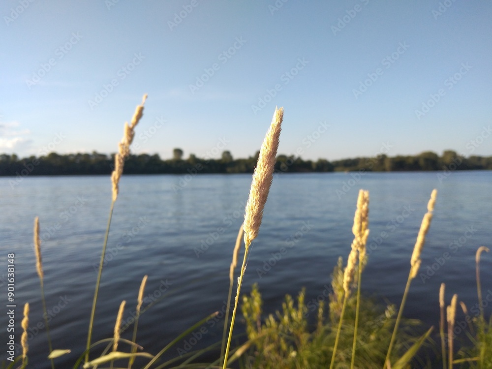 nature, river, lake, water, sky, clouds nature, river, lake, water, sky, clouds