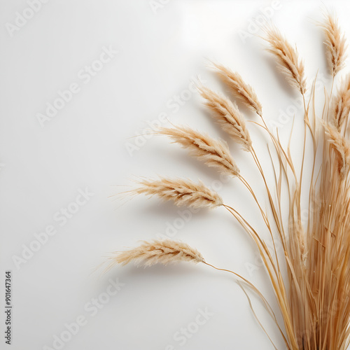A cinematic photo of dried hare's-tail grass in a flat lay arrangement