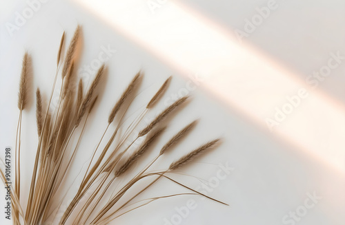 A cinematic photo of dried hare's-tail grass in a flat lay arrangement