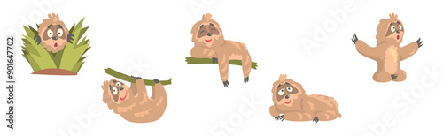 Funny Sloth Character Engaged in Different Activity Vector Set