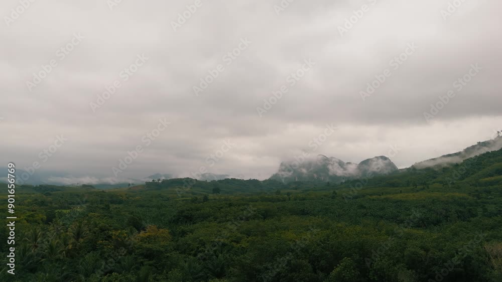 After the rain in the valleys, fog haze.drone aerial Fog in valley, misty forest after rain, After the rain in the valleys, fog haze.drone aerial Fog in valley, misty forest after rain,