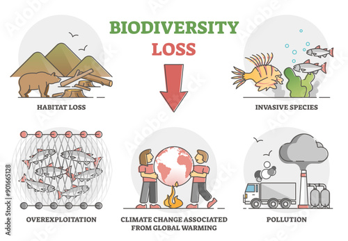 Biodiversity loss issues or causes as climate ecosystem problem outline set, transparent background. Wildlife extinction from habitat loss, invasive species, overexploitation.