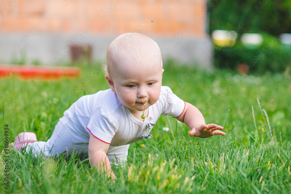 Baby Crawling on Grass in Backyard on Summer Day Baby Crawling on Grass in Backyard on Summer Day