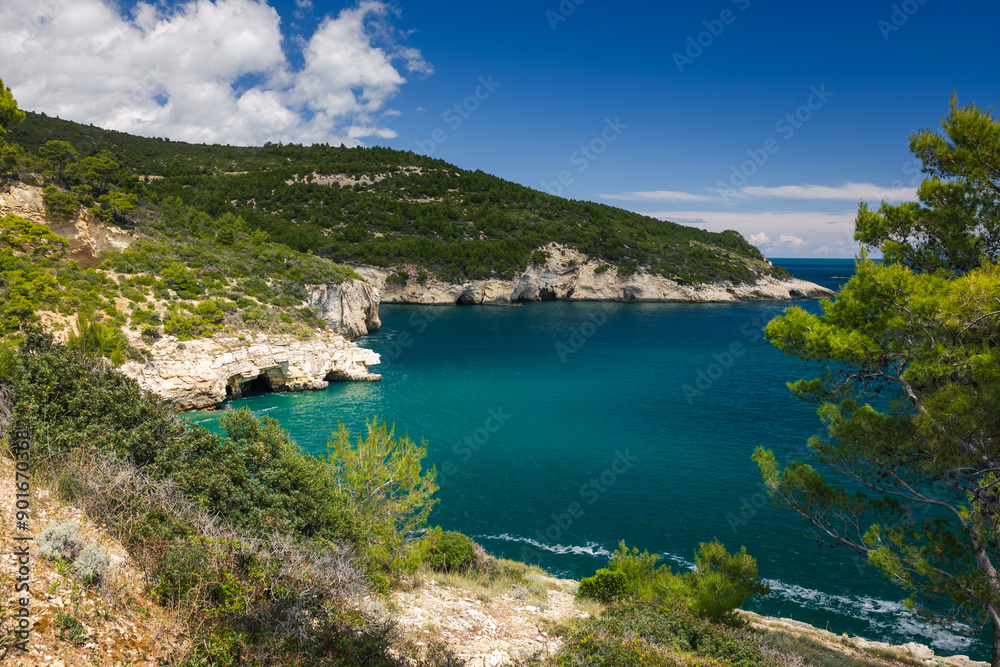 Landscapes of Gargano penisula in Italy during spring sunny day. Landscapes of Gargano penisula in Italy during spring sunny day.