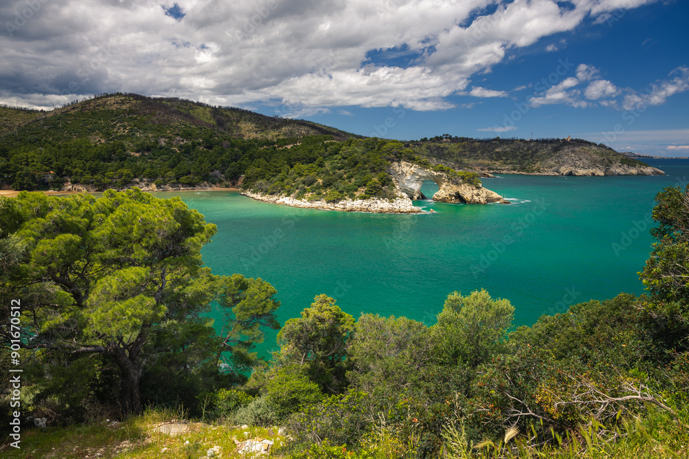 Naklejka premium Landscapes of Gargano penisula in Italy during spring sunny day.
