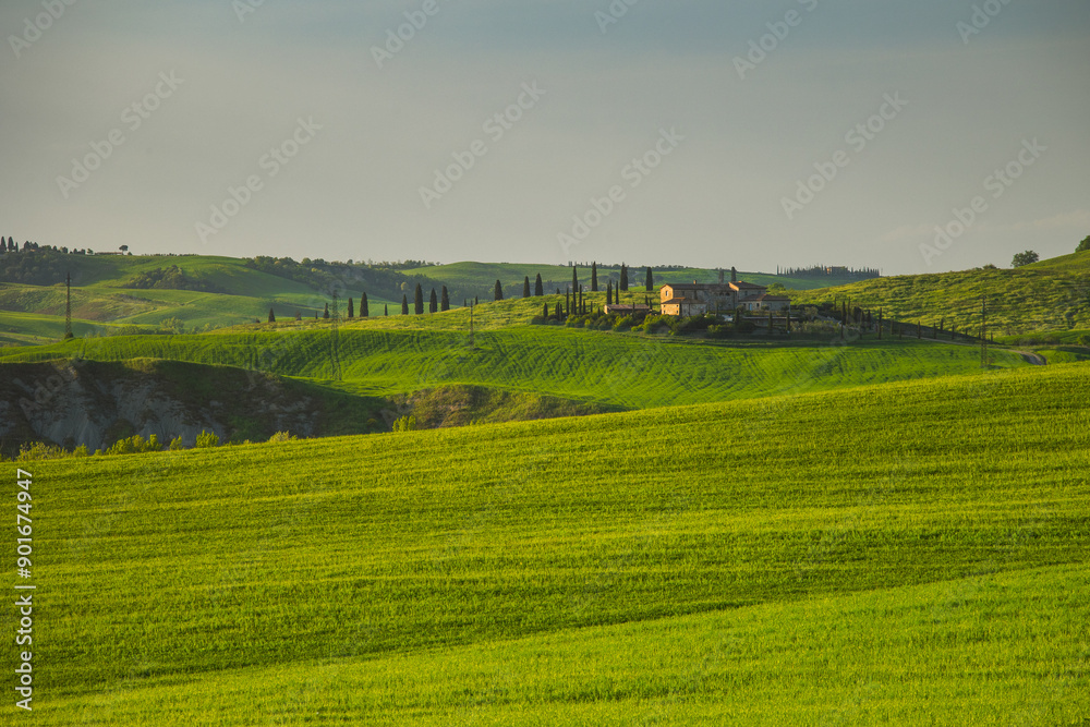 Spectacular landscapes of Val di Orcia in Tuscany, taken during sunset. Spring is the best time to visit this region. Spectacular landscapes of Val di Orcia in Tuscany, taken during sunset. Spring is the best time to visit this region.
