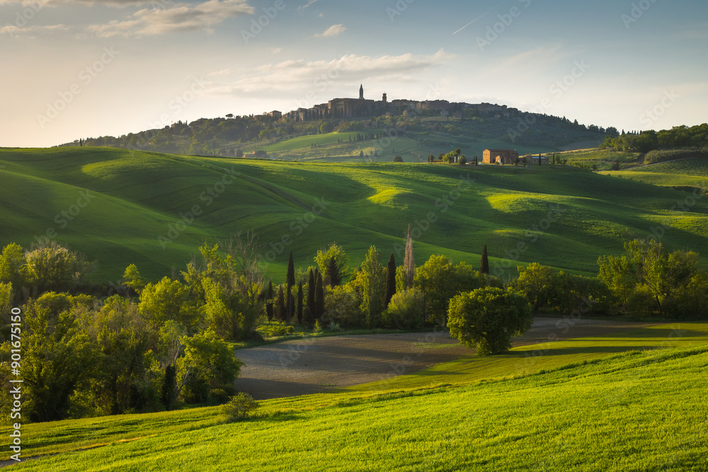Spectacular landscapes of Val di Orcia in Tuscany, taken during sunset. Spring is the best time to visit this region.