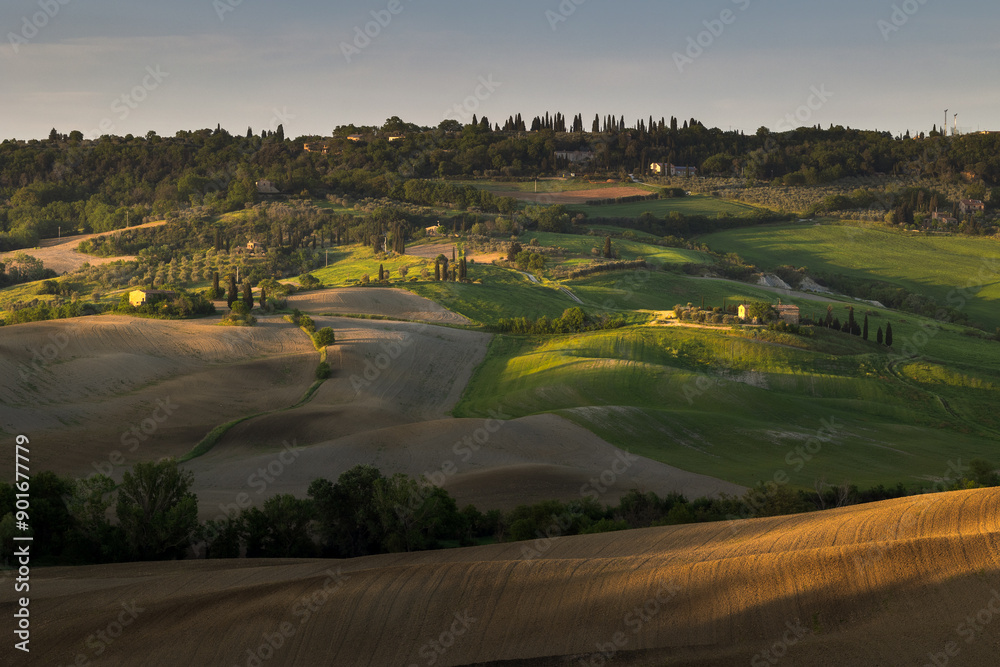 Obraz premium Spectacular landscapes of Val di Orcia in Tuscany, taken during sunset. Spring is the best time to visit this region.