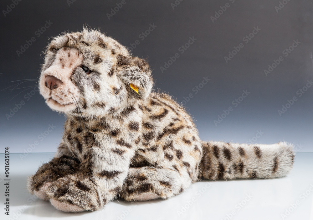 Obraz premium Antique and historical Items