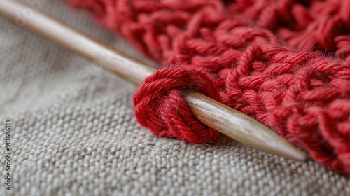 The Red Yarn and Needle photo