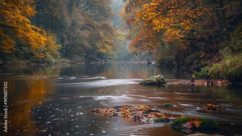 Serene autumn river amidst vibrant trees. Relaxing nature photo showcasing the beauty of fall. Ideal for peaceful, tranquil, and calming scenes.