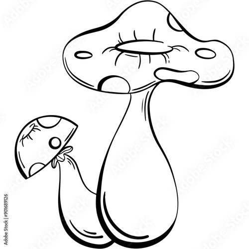 poisonous mushroom