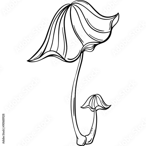 mushroom