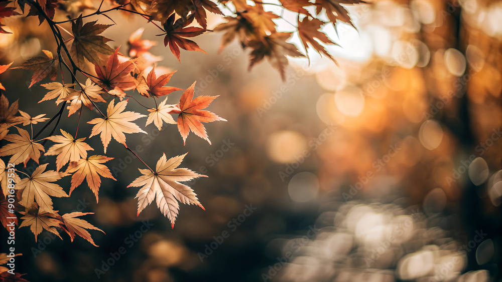 Autumn background with maple leaves with blurred background for copyspace Autumn background with maple leaves with blurred background for copyspace