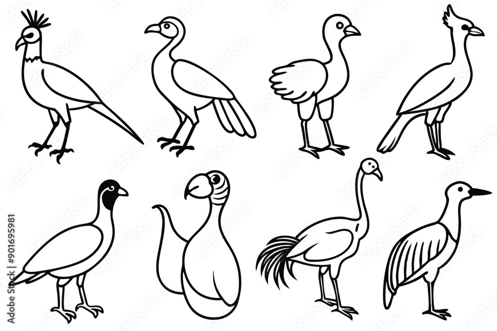 Obraz premium Avian bird line art illustration