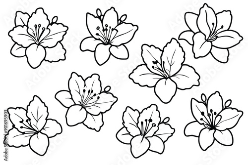 Azalea flower line art illustration