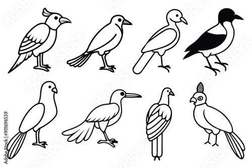 Avian bird line art illustration