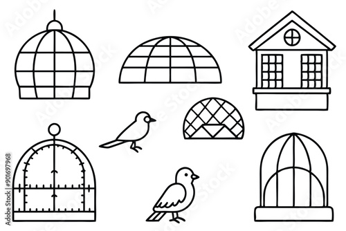Aviary bird line art illustration