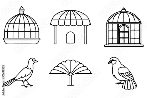 Aviary bird line art illustration