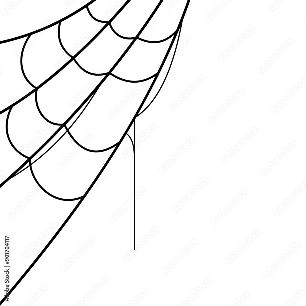 Obraz premium Spider Web Corner