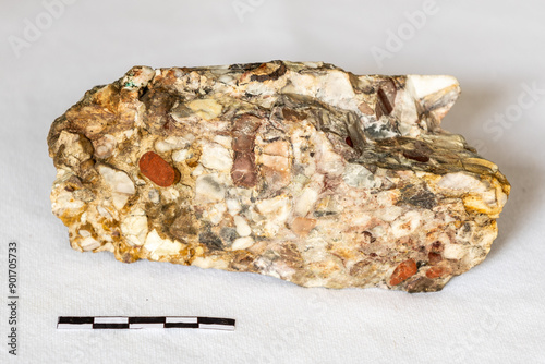 A chert conglomerate from the Fig Tree Formation of the Barberton greenstone belt photo