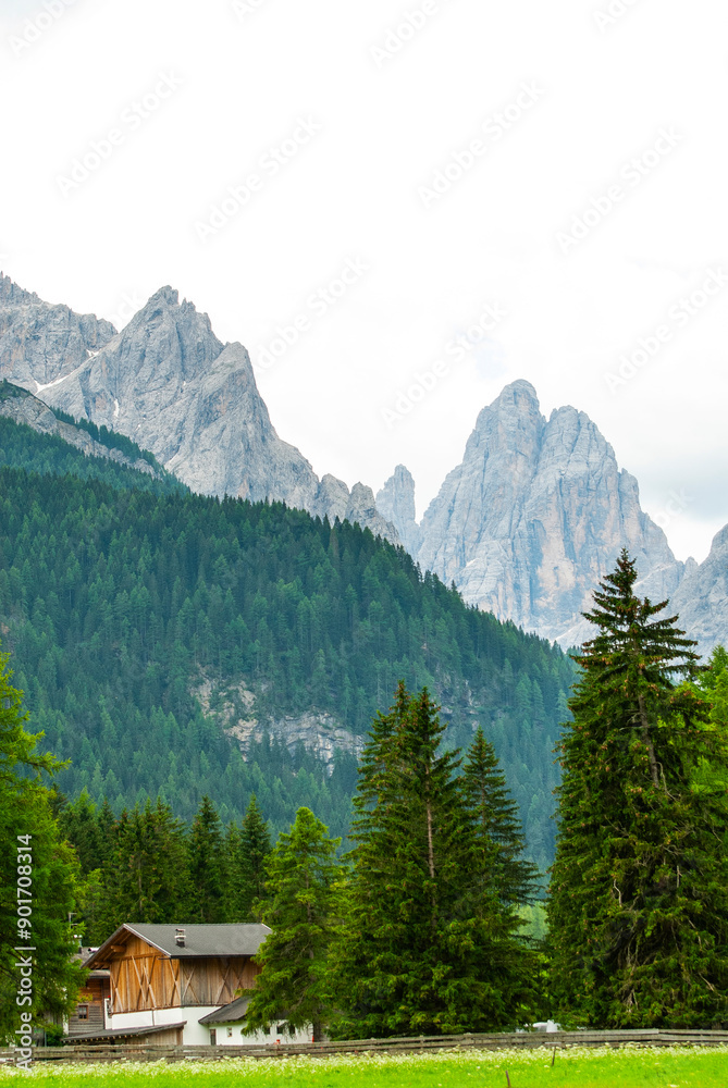 Cadin di San Candido, Dolomites of Sesto Natural Park, South Tyrol, Bolzano, Italy, Trentino-Alto Adige, Val Pusteria