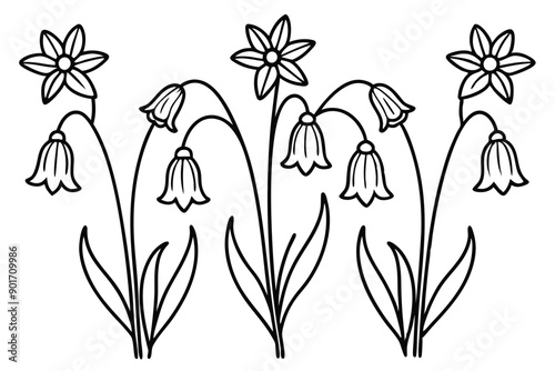 Bluebell flower line art illustration