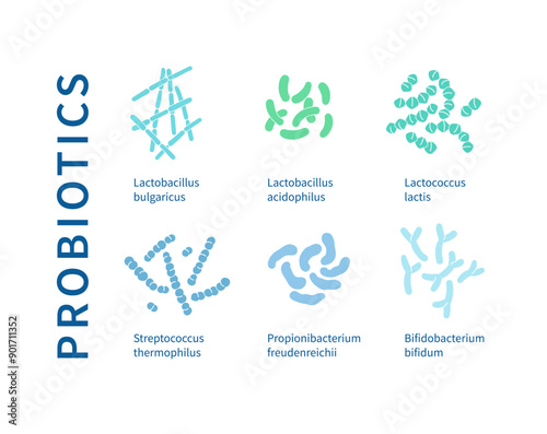 Colorful and detailed diagram showcasing beneficial bacteria and probiotics.