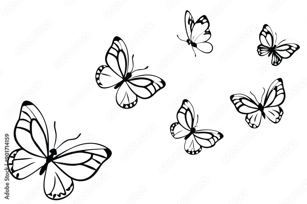 Fototapeta premium Butterflies flying line art illustration