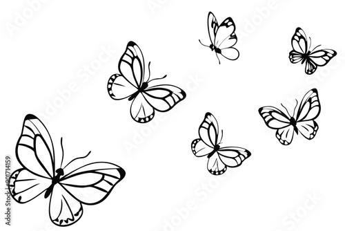 Butterflies flying line art illustration