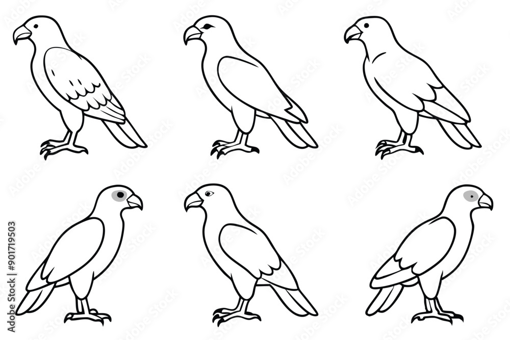 Obraz premium Buzzard bird line art illustration