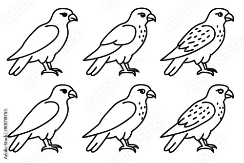 Wallpaper Mural Buzzard bird line art illustration Torontodigital.ca