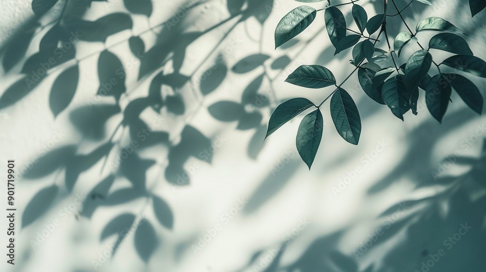 Abstract Silhouette of Tree Branches on White Background Abstract Silhouette of Tree Branches on White Background