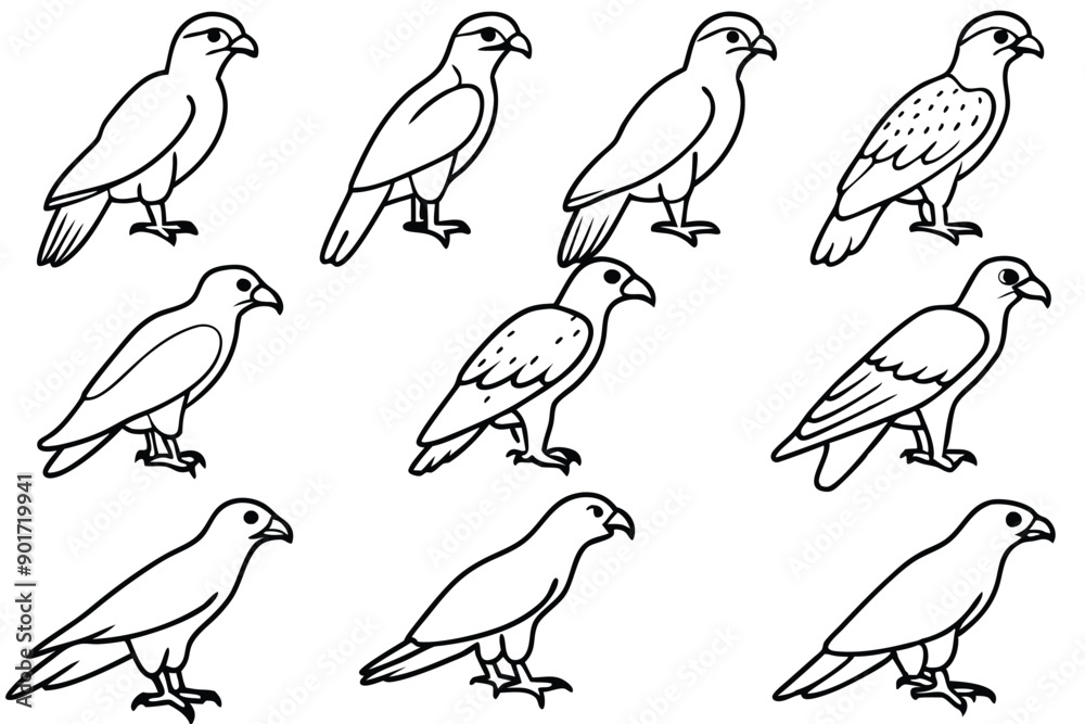 Fototapeta premium Buzzard bird line art illustration