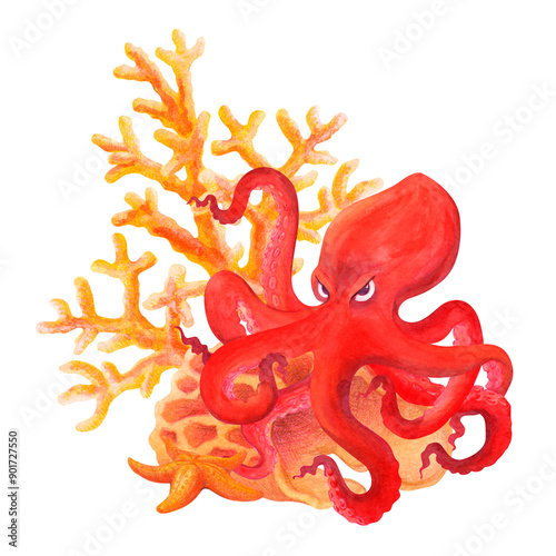 Octopus with coral and starfish. Tropical marine composition. Underwater world isolated watercolor illustration for design of souvenirs, postcards, posters, banners, labels, logos, t-shirts prints photo