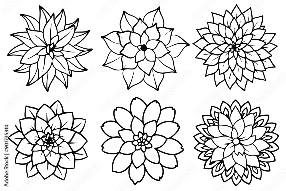 Obraz premium Dahlia flower line art illustration Design Concepts