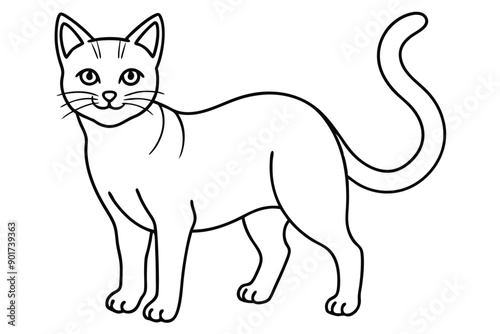 Cat line art illustration Design Concepts