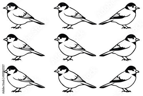 Chickadee bird line art illustration