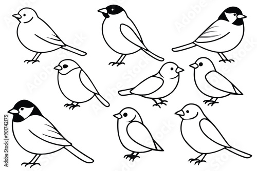 Chickadee bird line art illustration