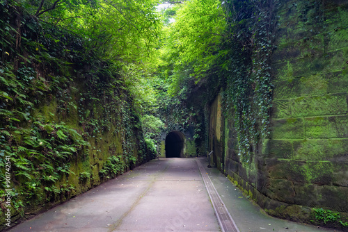 神奈川県横須賀市　猿島 photo