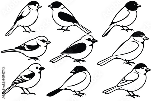 Chickadee bird line art illustration