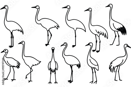 Crane bird line art illustration Design Concepts