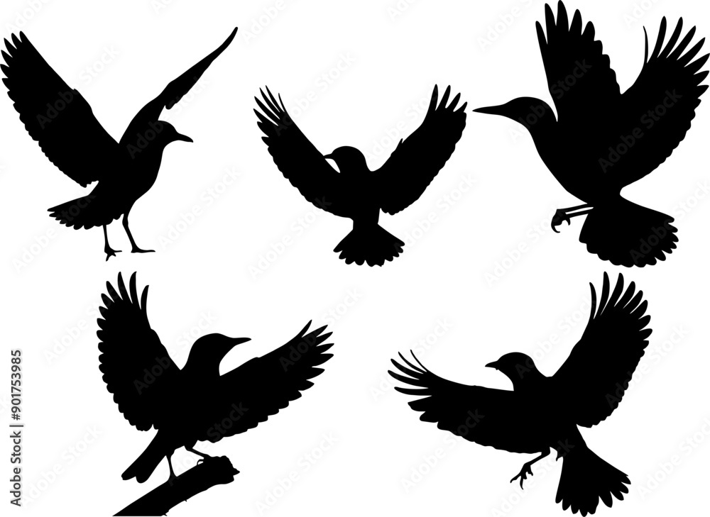Obraz premium set of silhouettes of birds