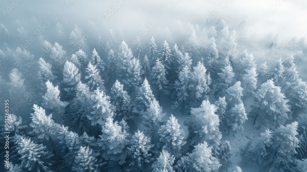 Winter Wonderland Featuring Frost-Covered Trees Under Misty Sky in Mountain Wilderness. Generative AI Winter Wonderland Featuring Frost-Covered Trees Under Misty Sky in Mountain Wilderness. Generative AI